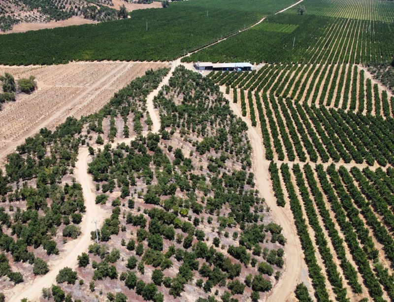 Andes on line Surge tecnología para optimizar uso del agua en cultivo